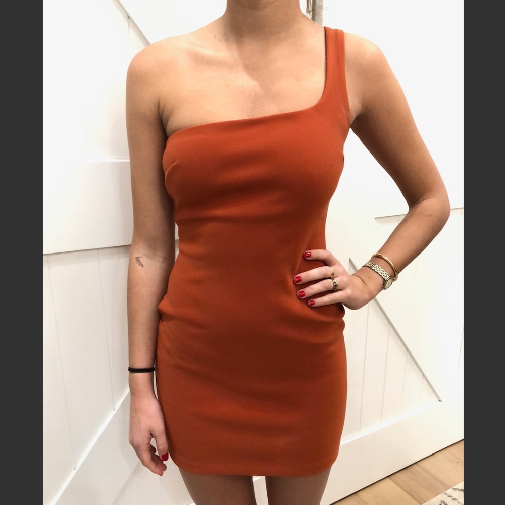 Bec & Bridge One Shoulder Dress